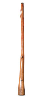 Tristan O'Meara Didgeridoo (TM508)